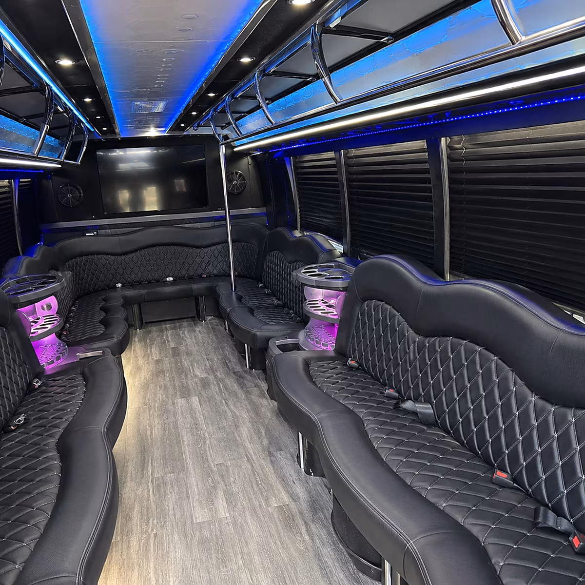 birthday party bus rental