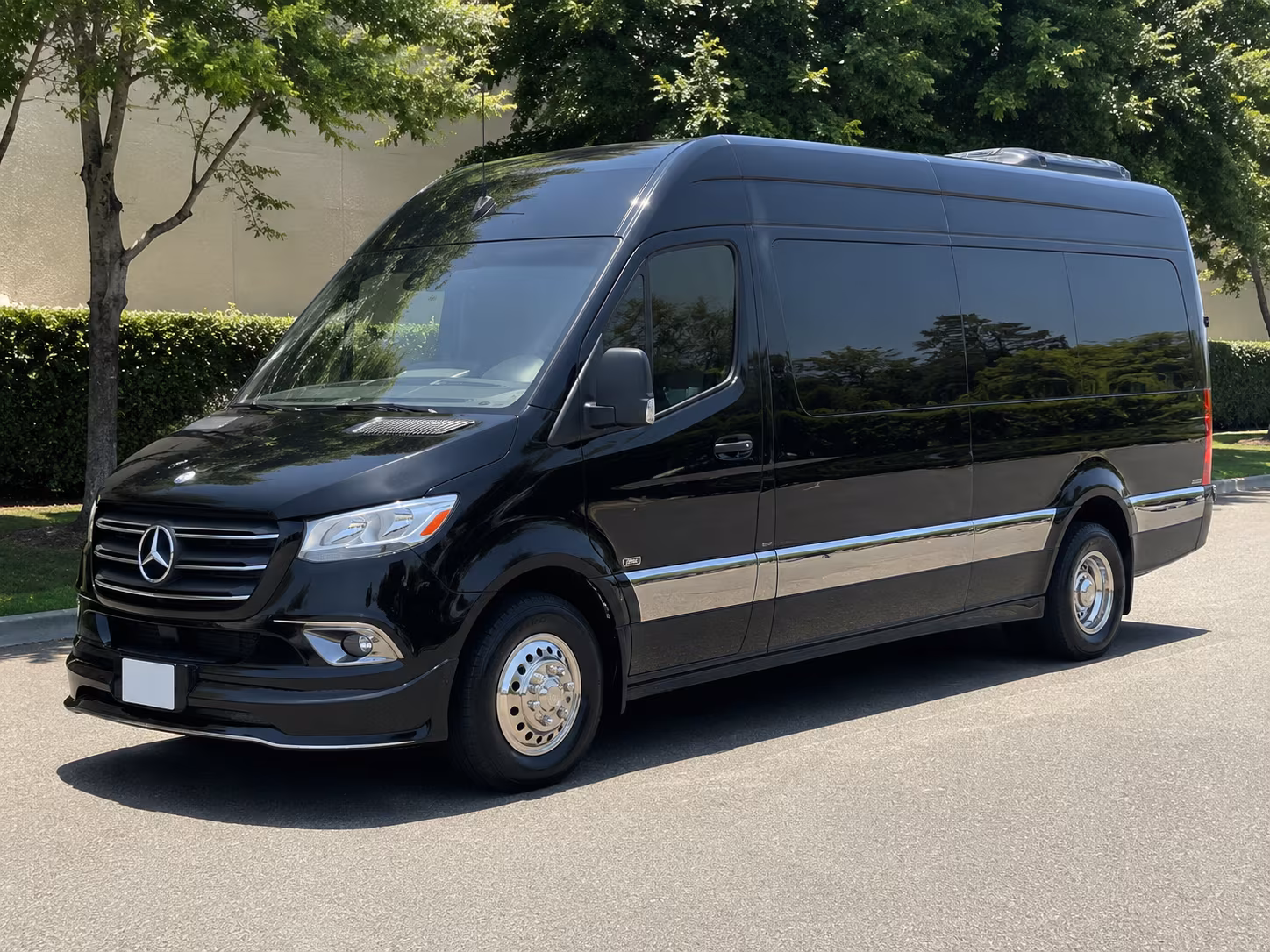 sprinter van with driver